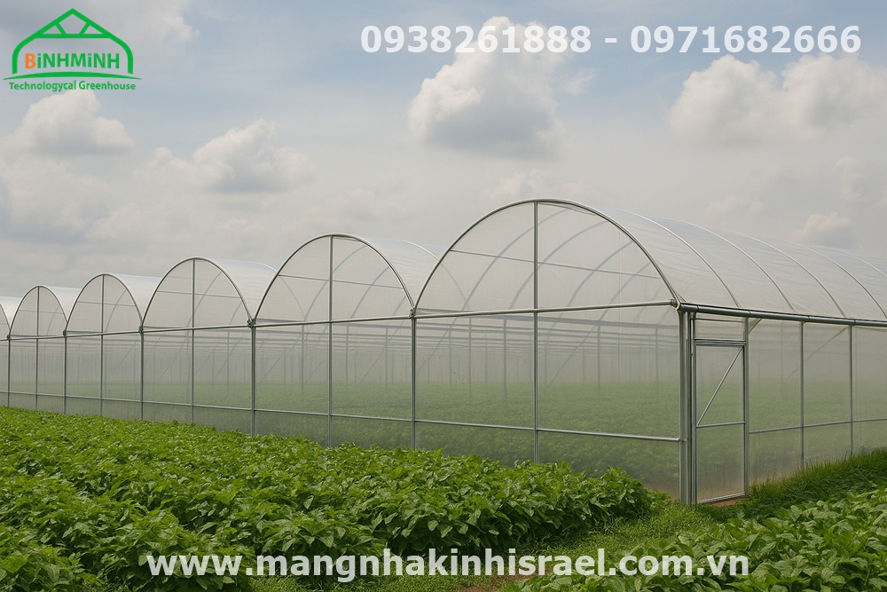 Màng Nhà Kính: Kiến Tạo Nông Sản Việt Sẵn Sàng Vươn Ra Biển Lớn